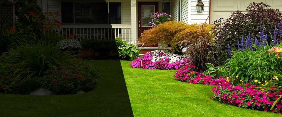 Ellenwood Landscapers