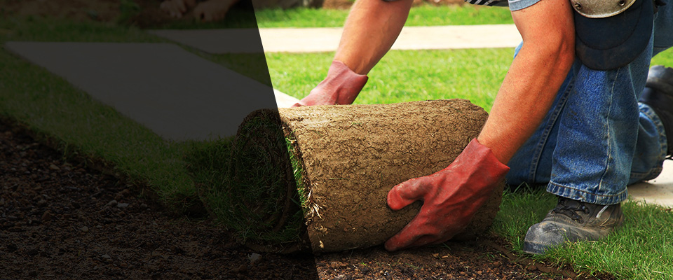 Ellenwood Landscapers